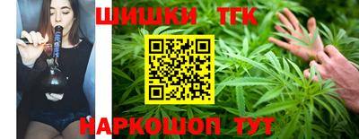 амф Можга