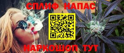 амф Можга