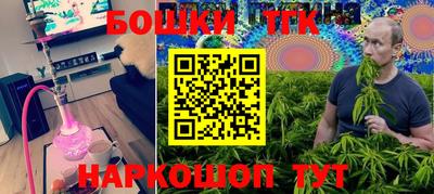 стаф Моздок