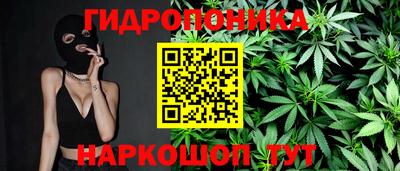 амф Можга