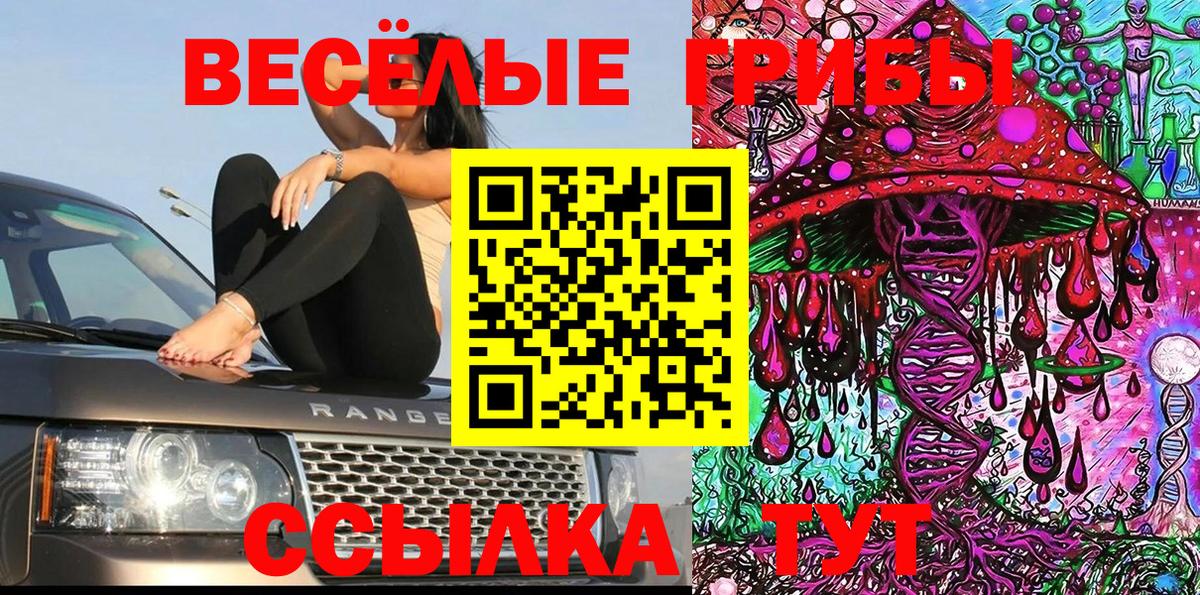 Галлюциногенные грибы прущие грибы Балахна